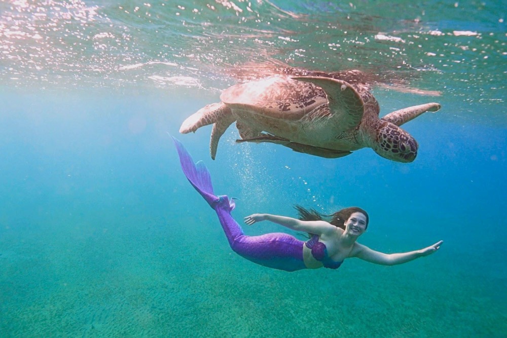 Mermaid Julianna schwimmt mit einer Schildkröte