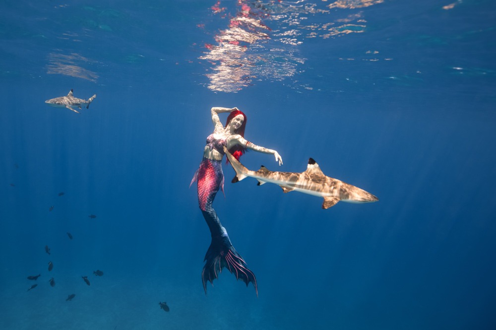 Meerjungfrauen-Retreat in Palau mit Mermaid Kat